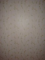 DSC00029.jpg