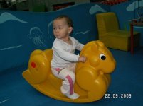 PICT0011.JPG