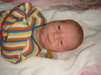 DSC03819_измен.размер.JPG