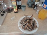 DSC01866-web.jpg