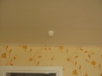 IMG_1467.JPG
