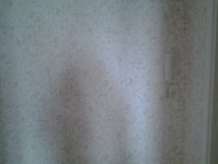 20130701_120912.jpg