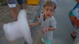 DSC02663_resize_resize.JPG