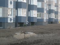 IMG_2184_новый размер.JPG