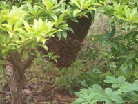 P7046737_.jpg
