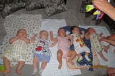 IMG_3238.jpg