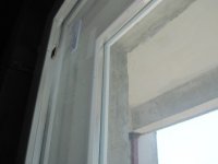 IMG_0135.jpg