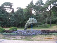 IMG_6152.JPG