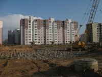 IMG_8273_.jpg