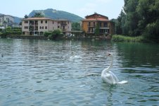 IMG_8728.jpg