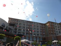 запуск шаров.jpg
