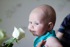 IMG_0444.jpg