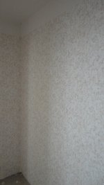 DSC02024.JPG