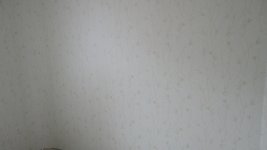 DSC02029.JPG
