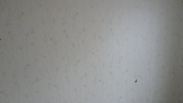 DSC02030.JPG