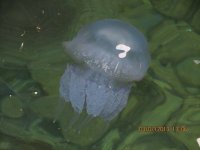 IMG_4798.JPG