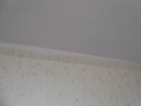 DSCN0984.JPG