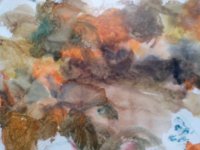 IMG_20130725_103315.jpg