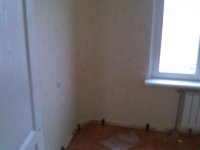 IMG_20130819_152059.jpg