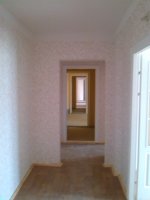 IMG_20130819_152144.jpg