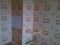IMG_20130819_152355.jpg