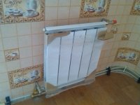 IMG_20130819_152431.jpg