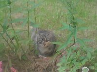 IMG_20130821_195010.jpg