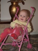 P8298258_.jpg