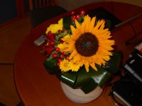 DSCN0011.JPG