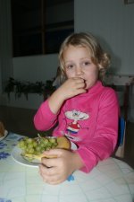 DSC03308.JPG