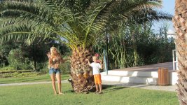 IMG_2779.JPG