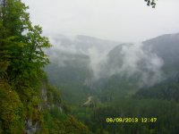 SDC14648.jpg
