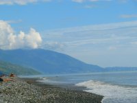IMG_4988.jpg