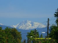 SDC10437.jpg