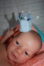 IMG_0239.jpg