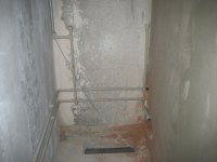 IMG_0029.jpg