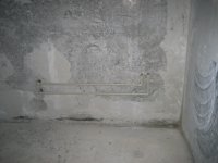 IMG_0030.jpg