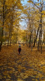 лето-осень 2013 фотоАп 060-1.jpg