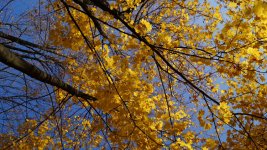 лето-осень 2013 фотоАп 064-1.jpg