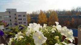 осень 2013 фотоАп 009-1.jpg
