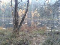 20131012_164225.jpg