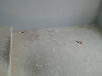 20131017_160745.jpg