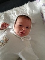 Изображение 080-1.jpg