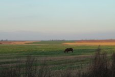 IMG_2409_1.jpg