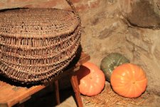 IMG_2341_1.jpg