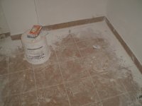 PB150480.JPG