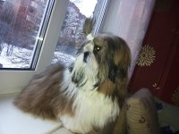 20131205_145530 (1).jpg