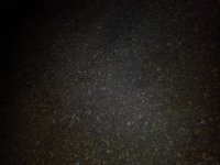 IMG_20131228_212329.jpg