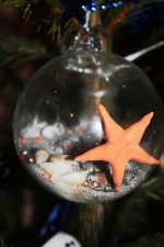 IMG_4647с.jpg