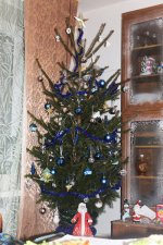 IMG_4633с.jpg